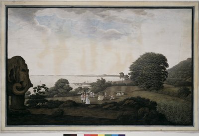 Elefantenauge von James Wales